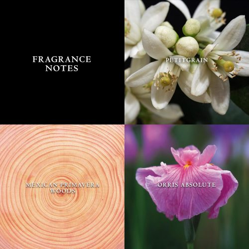 John Varvatos Artisan Pure EDT M 125 ml