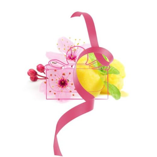 Salvatore Ferragamo Signorina In Fiore2 Salvatore Ferragamo Signorina In Fiore EDT W 100 ml