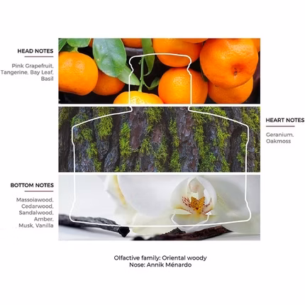 Laura Biagiotti Roma Uomo EDT M 40 ml