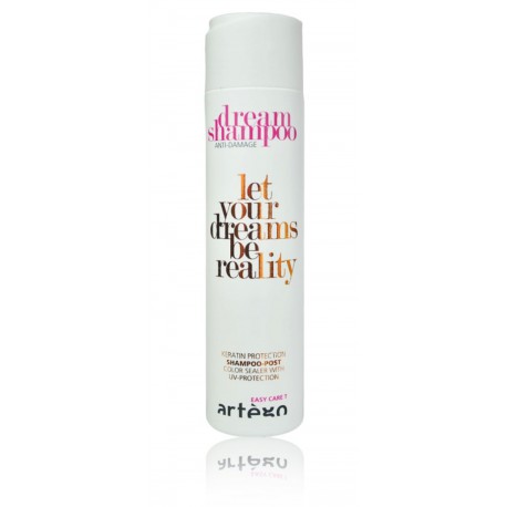 Artègo Easy Care T Dream Shampoo 250 ml