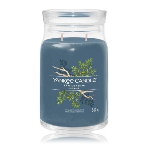 Yankee Candle Bayside Cedar 567 g