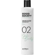 Artègo Good Society 02 Color Glow Shampoo 250 ml